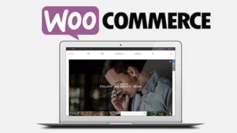 WooCommerce开发指南